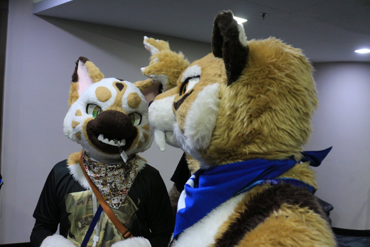 是政　KOREMASA tweet media