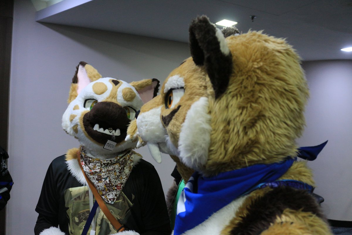 是政　KOREMASA tweet media