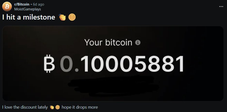 Bitcoin Teddy tweet media