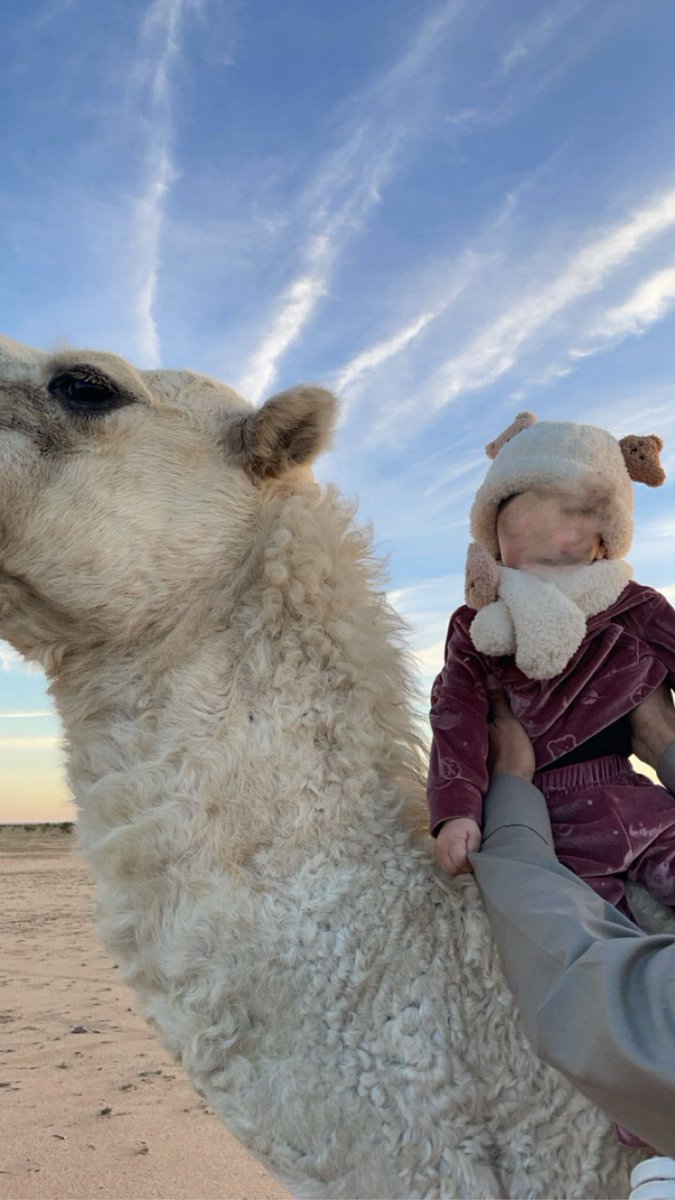 2Baderv's tweet image. 4:25🤎☁️
ما شاء الله تبارك الله