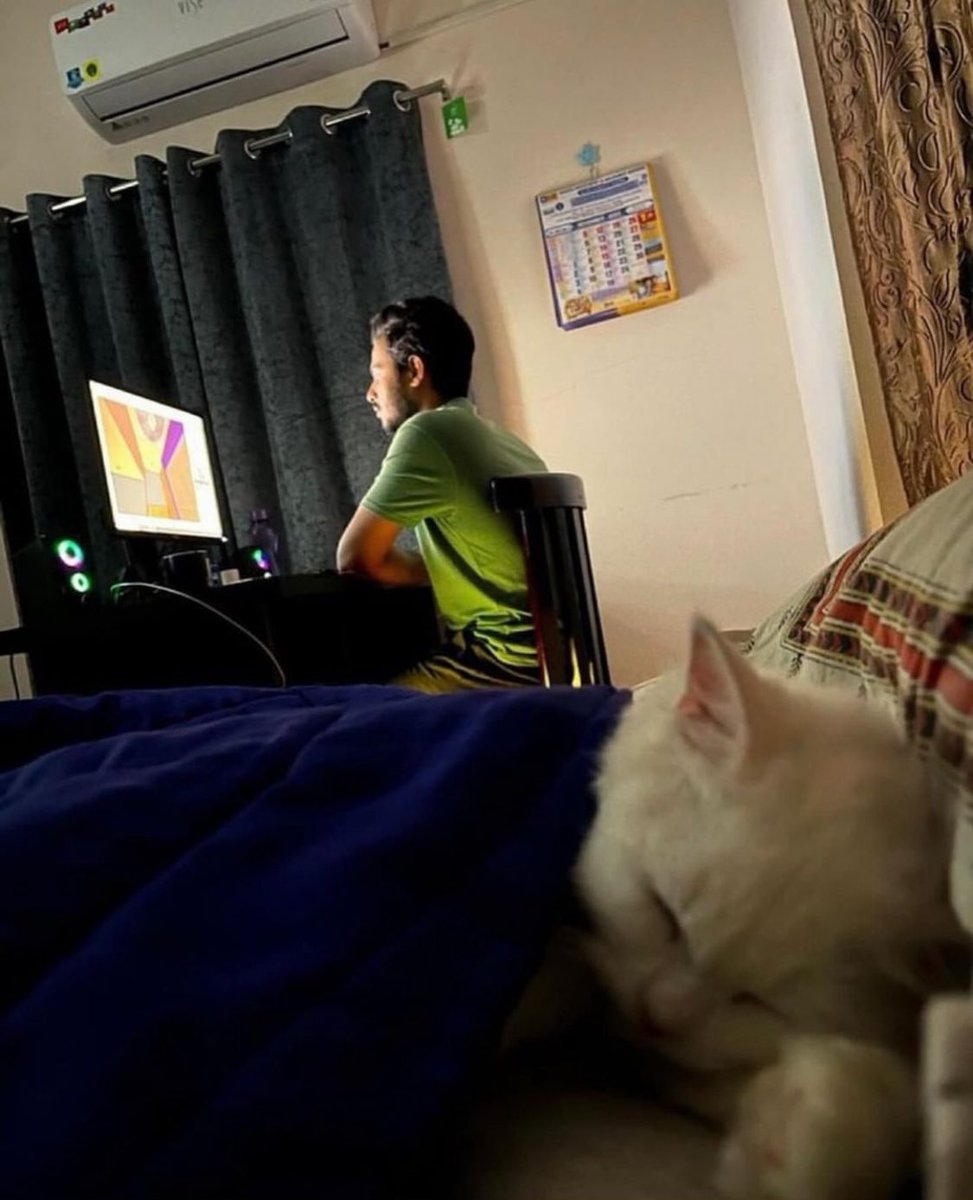 TheCatsX's tweet photo. i work, so my cat can sleep all day https://t.co/N1bJoHMayM