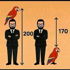 kavitha129's tweet photo. #RiddlesTime
Find the height of the parrot!
Do not say "I don't know" please🙄
Just solve x + y = 200, x - y = 170 and get the value of 'y' (We all learnt only thing is we won't apply it) https://t.co/4hcFBmFM7P