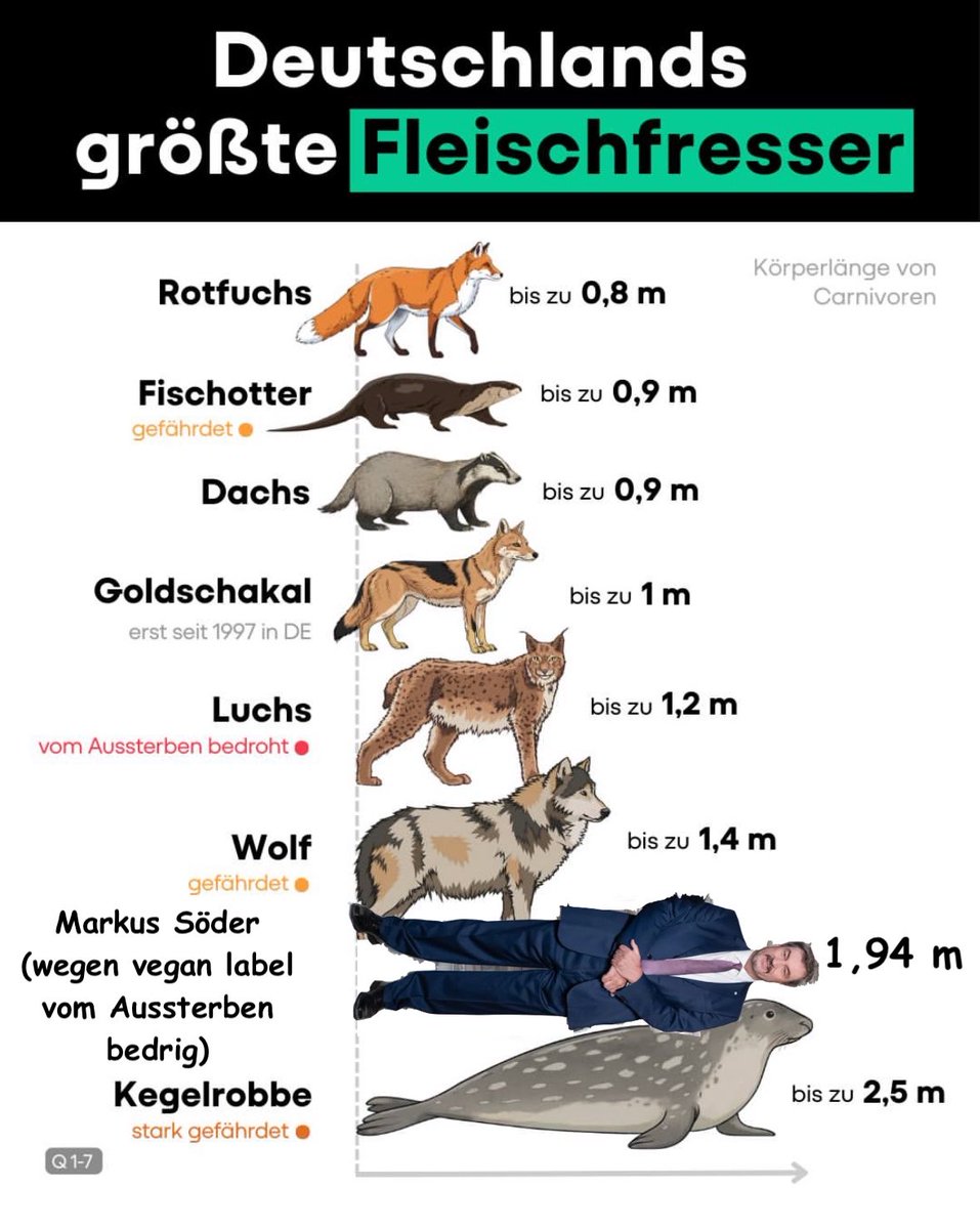 Amelie (@krawallmelie) on Twitter photo 