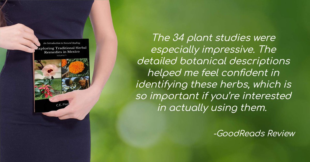 ceflores11's tweet photo. @KindlePromos For seekers of truth in tradition— Exploring Traditional Herbal Remedies in Mexico gives you practical plant knowledge and the stories behind the medicine. 📚 https://t.co/z7nHG8uWl6 #Curanderos https://t.co/xP5xUiYlFw