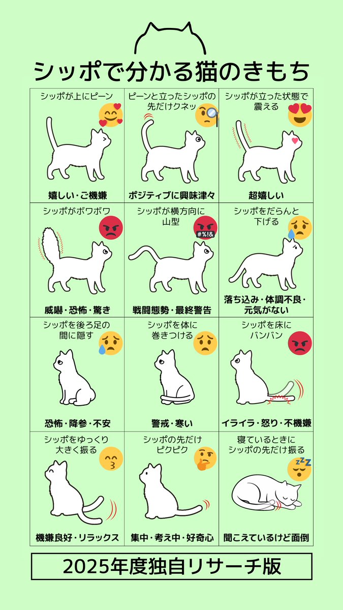 nyan_zemi's tweet photo. 🐱猫雑学タイムス🐱
シッポで分かる猫のきもち
2025年度独自リサーチ版

【動画要約】
・シッポが上にピーン：嬉しい・ご機嫌
・ピーンと立ったシッポの先だけクネッ：ポジティブに興味津々
・シッポが立った状態で震える：超嬉しい
・シッポがボワボワ：威嚇・恐怖・驚き
・シッポが横方向に山型：戦闘態勢・最終警告
・シッポをだらんと下げる：落ち込み・体調不良・元気がない
・シッポを後ろ足の間に隠す：恐怖・降参・不安
・シッポを体に巻きつける：警戒・寒い
・シッポを床にバンバン：イライラ・怒り・不機嫌
・シッポをゆっくり大きく振る：機嫌良好・リラックス
・シッポの先だけピクピク：集中・考え中・好奇心
・寝ているときにシッポの先だけ振る：聞こえているけど面倒
━━━━━━━━━━━
📣猫のこともっと知りたい！
楽しく分かりやすくをモットーに情報発信しています😸
フォローしてあなたも猫マスターを目指そう🚀
━━━━━━━━━━━

#猫のいる暮らし　#猫雑学　#にゃんゼミ