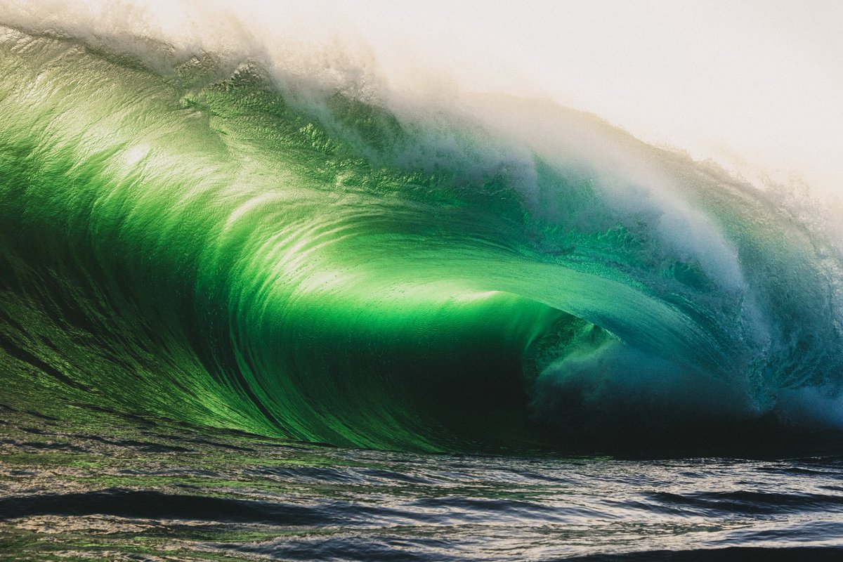 Kim Feast tweet media