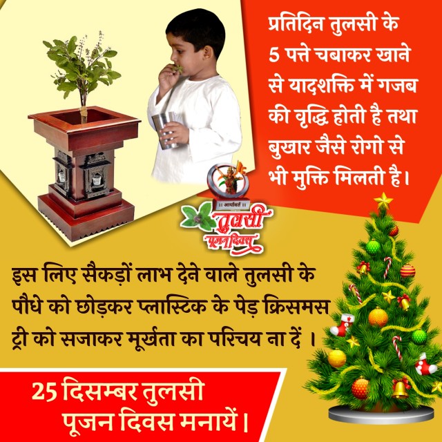 #BharatKeRangTulsiKeSang
Sanatan Dharma में माना गया है कि तुलसी में सभी दैवीय शक्तियों व तीर्थों का वास होता है, मात्र प्रणाम करने से ही वो आपका मंगल कर देती हैं
 - Sant Shri Asharamji Bapu