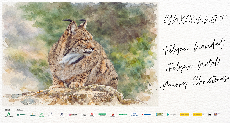 Life Lynxconnect tweet media