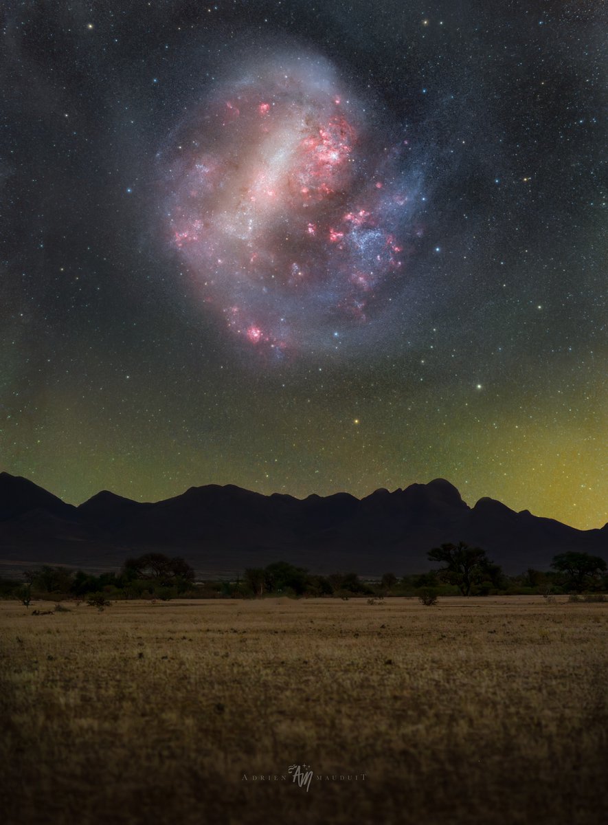 Night Sky Today tweet media