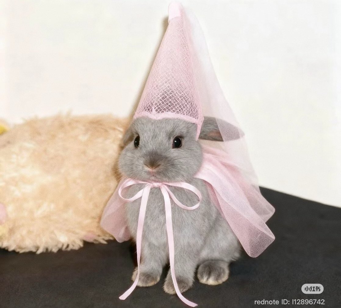 heartipink's tweet image. 