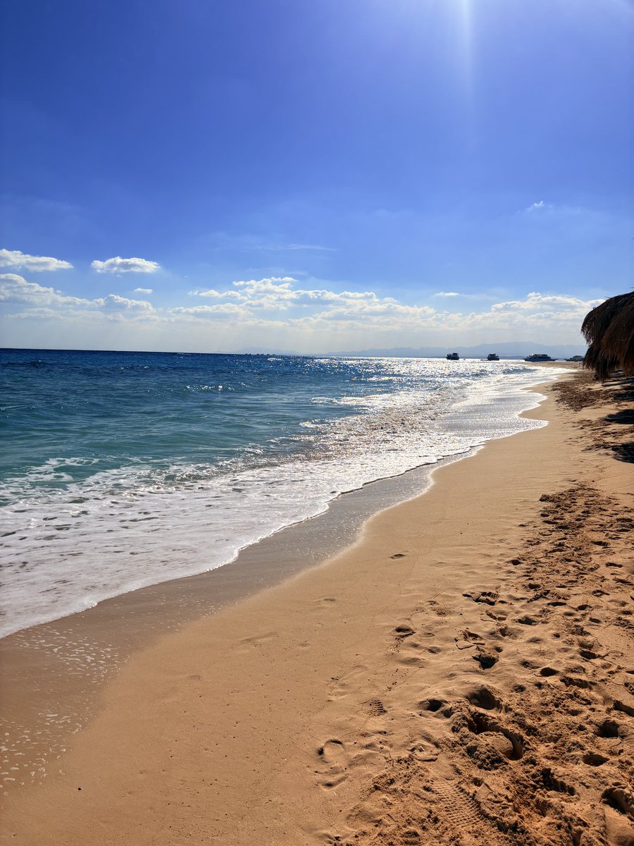 SigneRock's tweet image. Nathan Drake