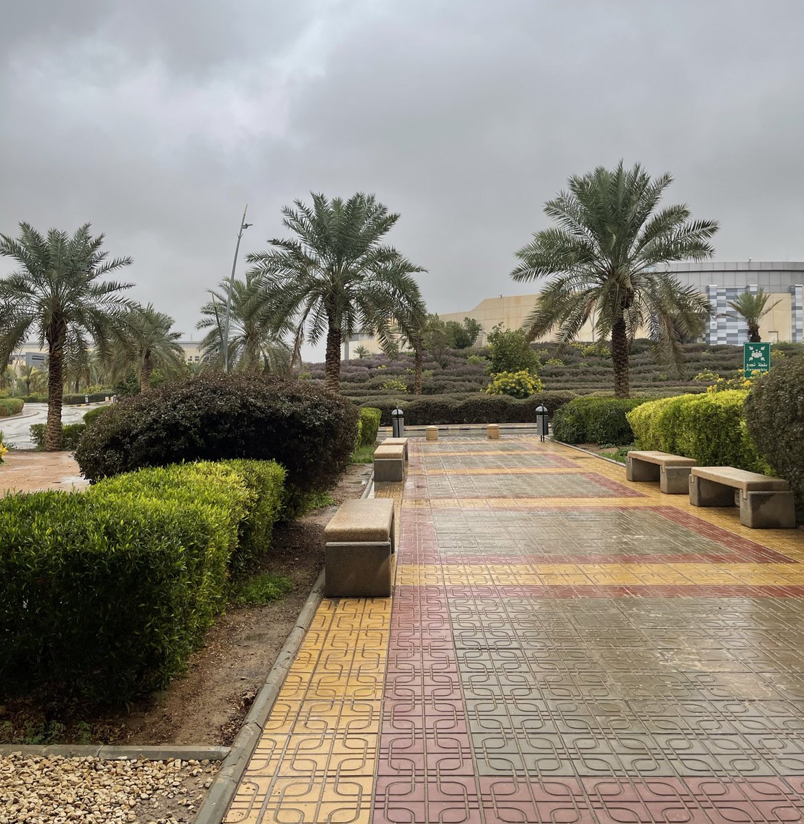 لنا العبدالله Ψ tweet media