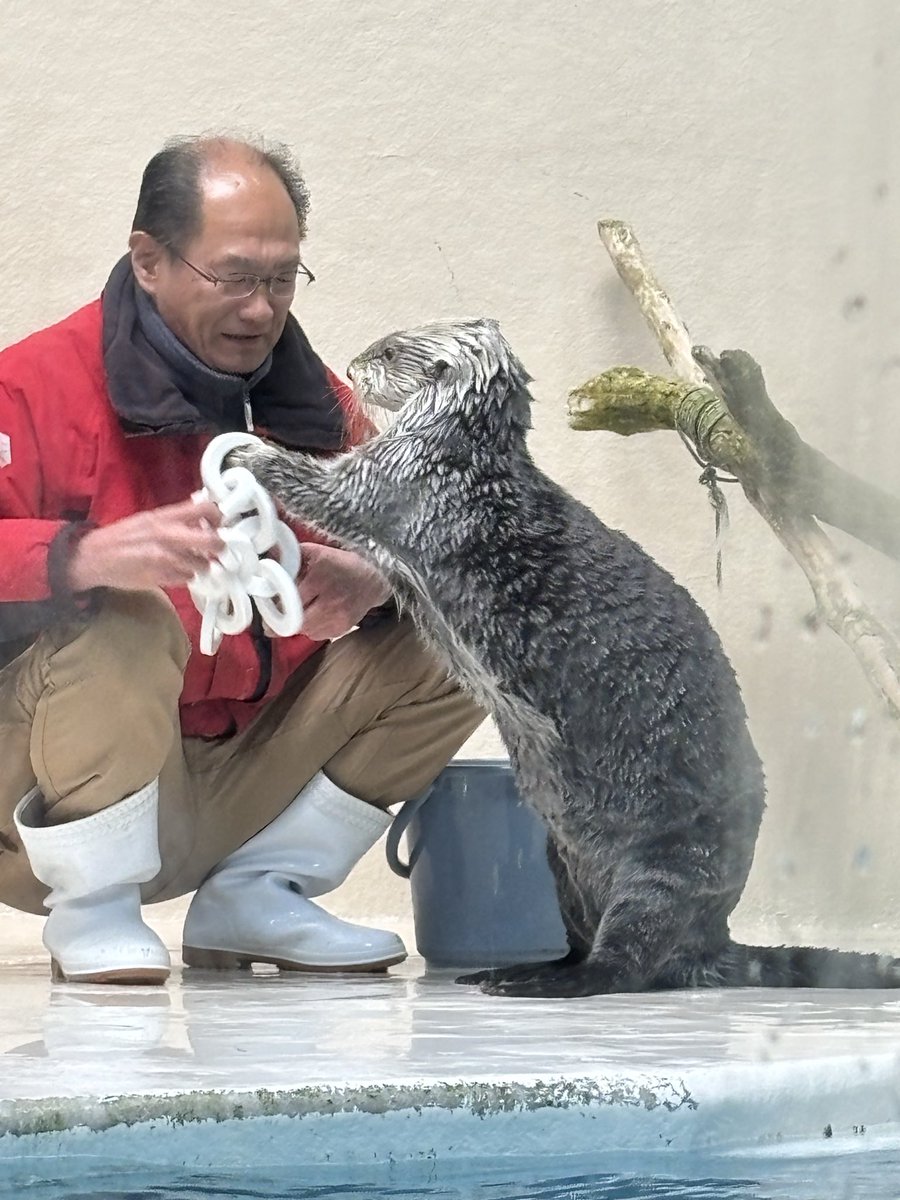 去年の今日のメイちゃんとキラちゃん(*´╰╯`๓)♬ この頃はまだ1分制