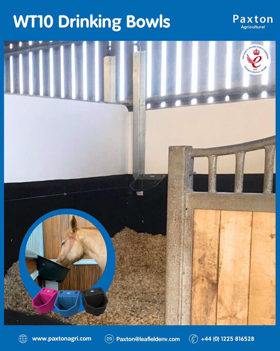 WT10 Drinking Bowl offers 10L capacity with a strong wall-mounted design, ideal for single animal use in loose boxes or stables. 

Find out more 👇
paxtonagri.com/product/wt10-d…

#livestock #agriculture #drinkingbowl #ukmade