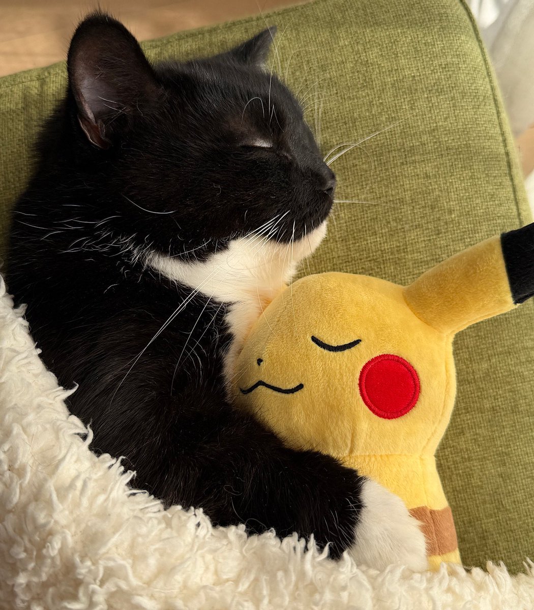 unicouniuni3's tweet image. This is my comfort