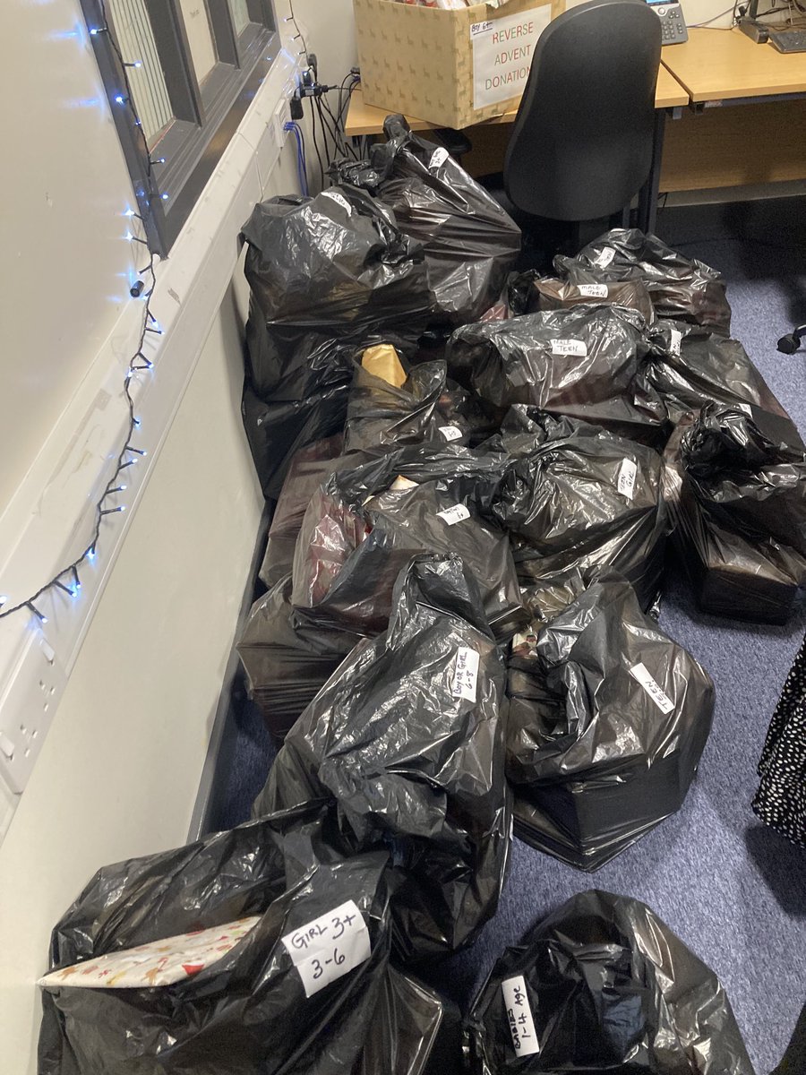 veronika stevens tweet media