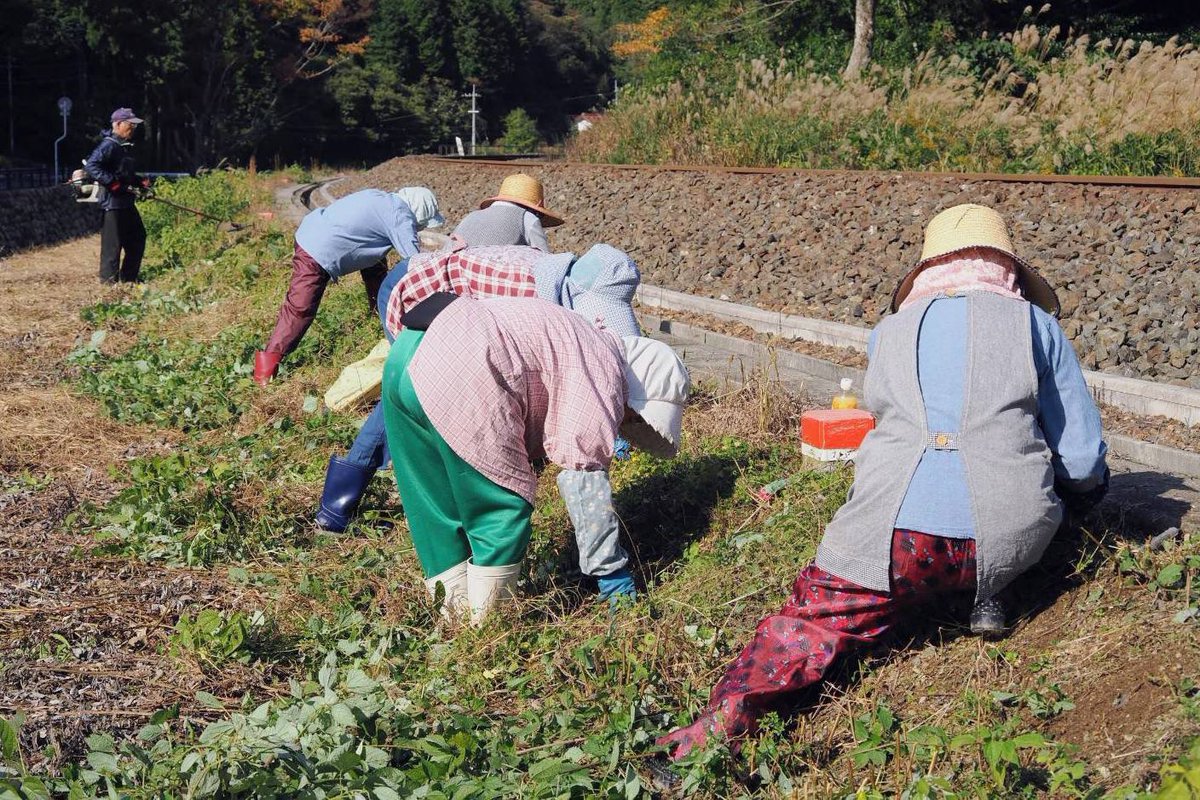 SL応援団事務局@2026年入山許可証受付中 tweet media