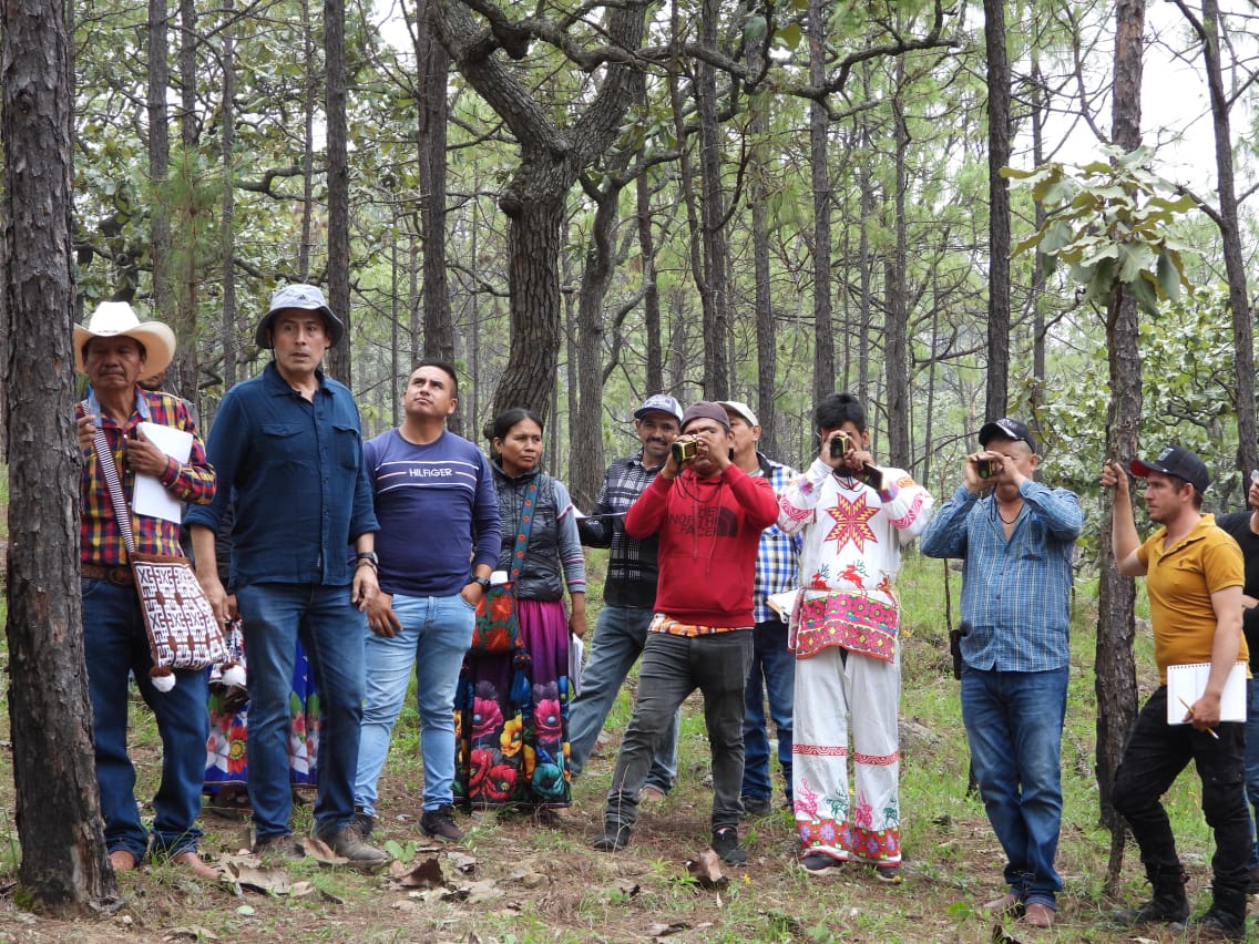 JoseOsio1168463's tweet photo. Real world utility of $DMTR in action: Dimitra is powering sustainable agribusiness in Mexico 🇲🇽—protecting biodiversity in Sierra de Álica while empowering Indigenous communities with direct carbon credit revenues.
#DMTR #Crypto #CarbonCredits #DMTRTeam #dimitratech https://t.co/A8SbERdKE9