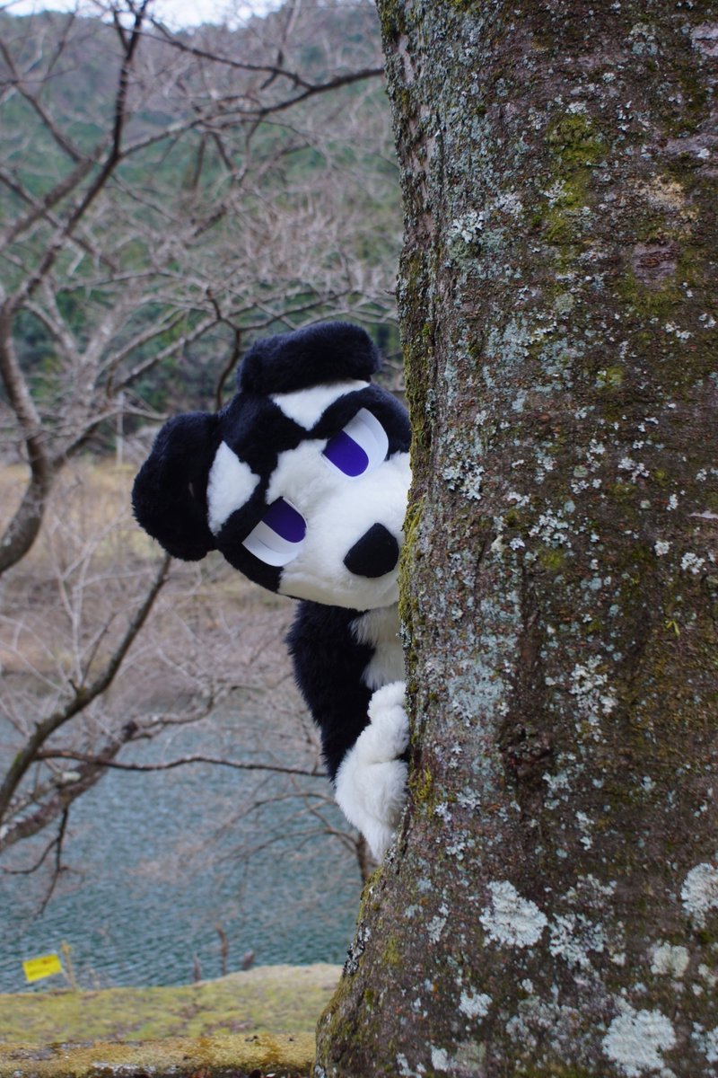 Post by とらきち on X: 天才