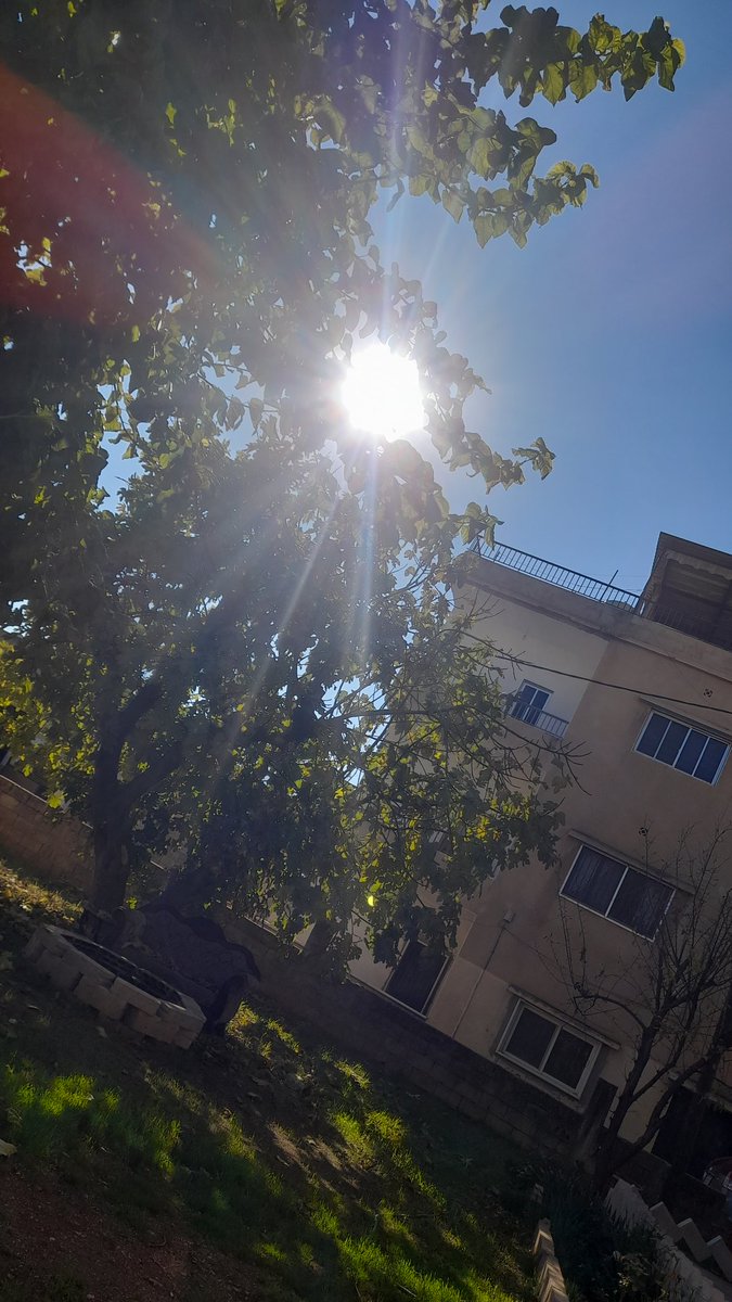 هيدا الطقس لبشجع الواحد عالقراية مش الشتا و الصوبا و الجليد🙄