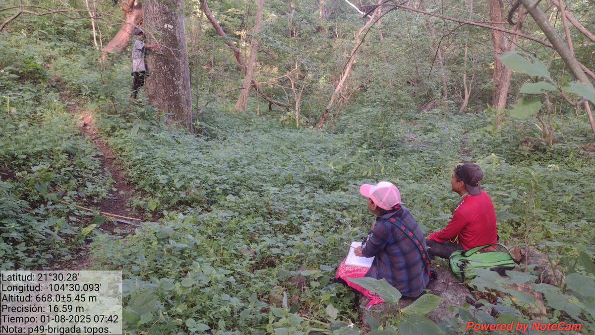 JoseOsio1168463's tweet photo. Real world utility of $DMTR in action: Dimitra is powering sustainable agribusiness in Mexico 🇲🇽—protecting biodiversity in Sierra de Álica while empowering Indigenous communities with direct carbon credit revenues.
#DMTR #Crypto #CarbonCredits #DMTRTeam #dimitratech https://t.co/A8SbERdKE9