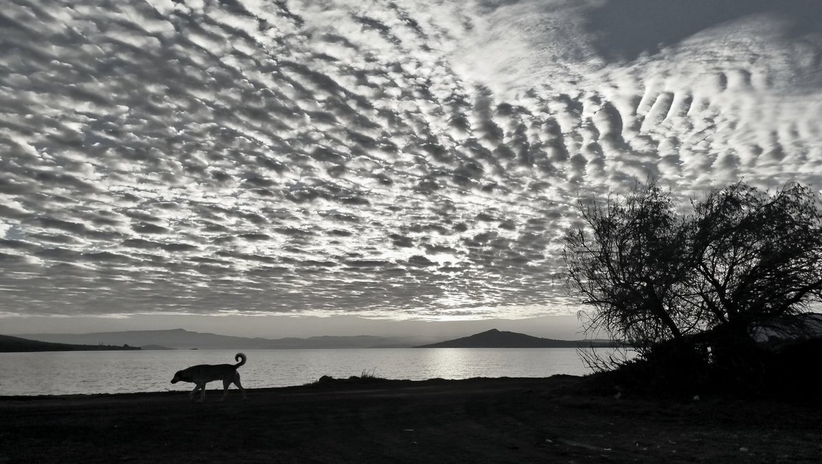 BULUTLAR ZİNCİRLE BAĞLI GİBİ
VE AĞZIMDAKİ PAS TADI GİTMİYOR
GÜNEŞ BANA VARMADAN!