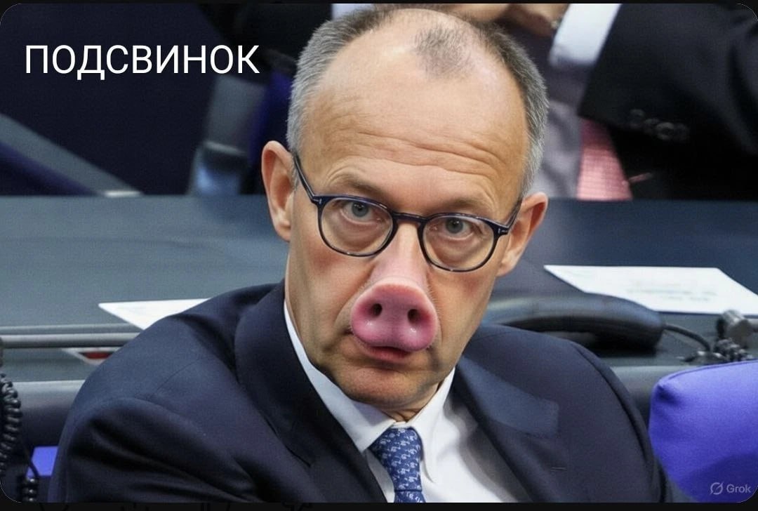 Olga Bazova (@olgabazova) on Twitter photo 