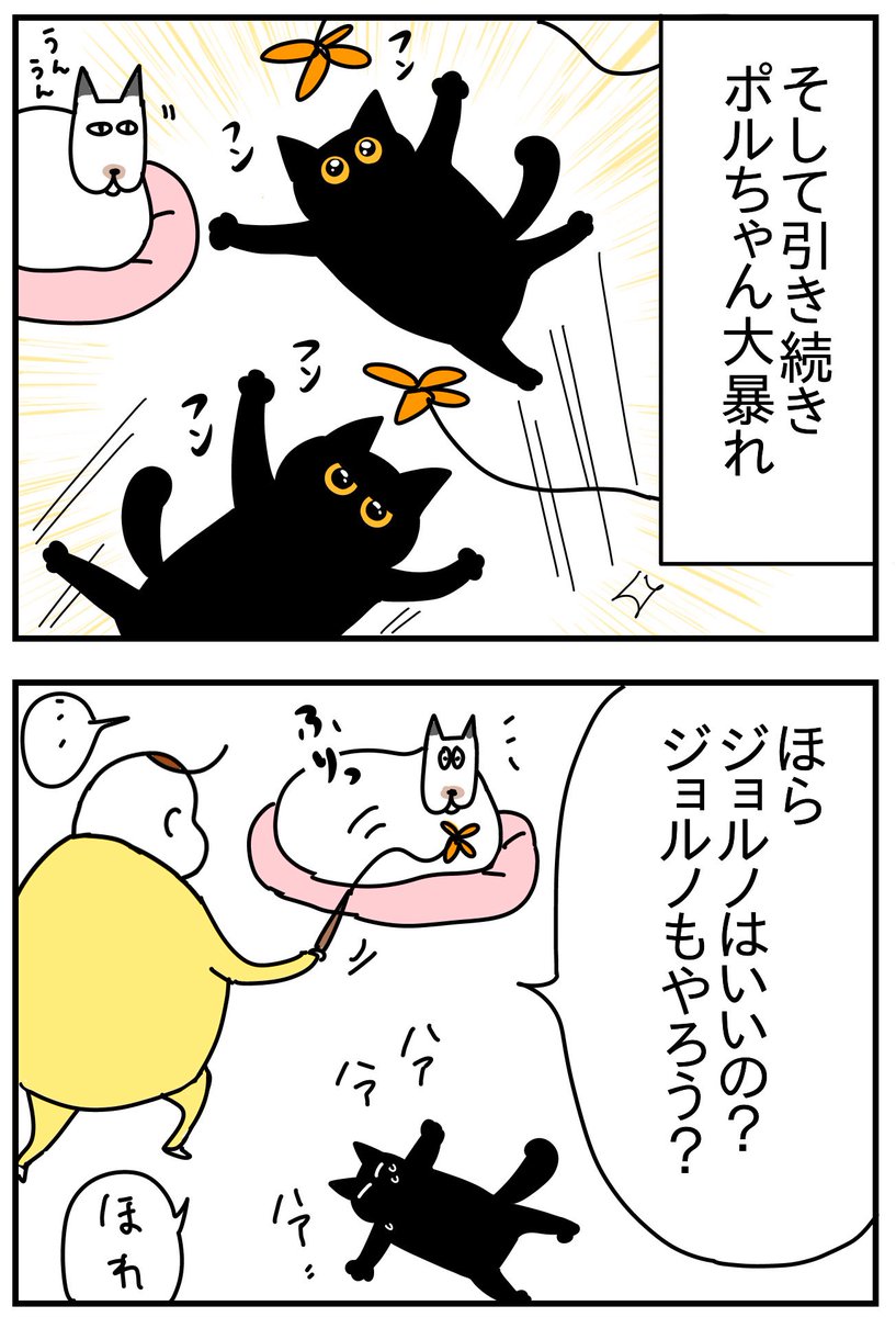 新入り猫に譲ってた先住猫 