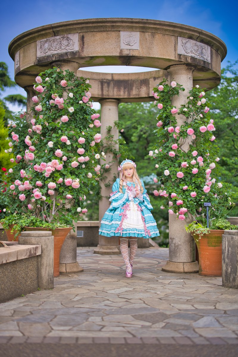 薔薇の奇跡が咲く聖域 9 - The Sanctuary Where the Rose Miracle