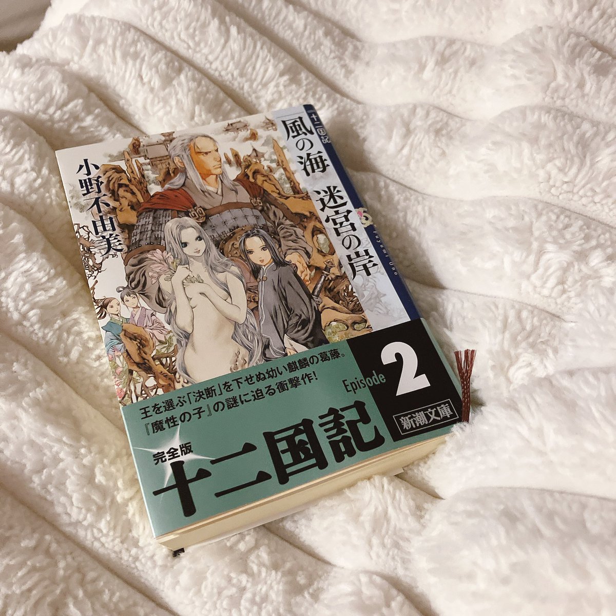 風の海 迷宮の岸 十二国記 2/小野不由美 泰麒が健気すぎて、ずっと応援