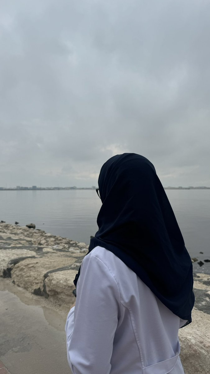 دائماً مها tweet media