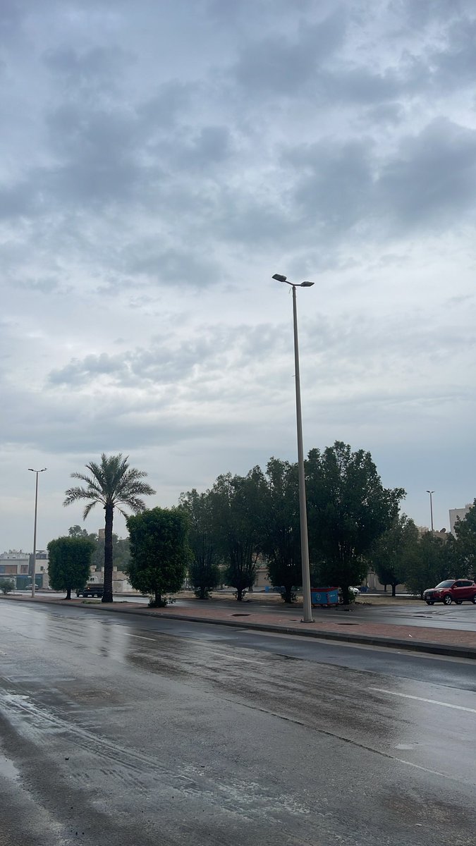 دائماً مها tweet media