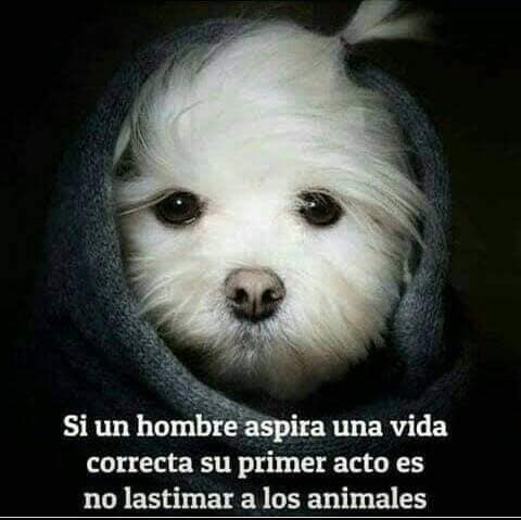 Alexandra🌞 tweet media