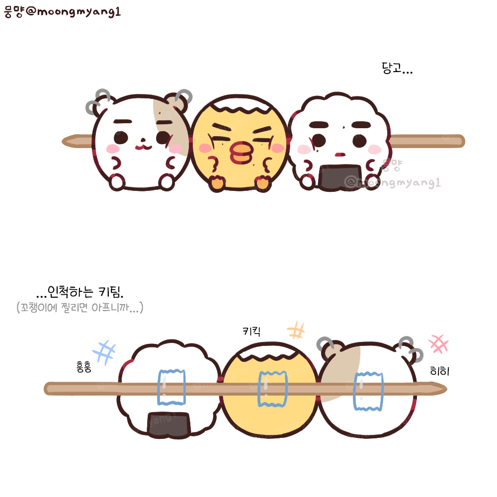 키팀 당고.........................?........일까요😁😁😁