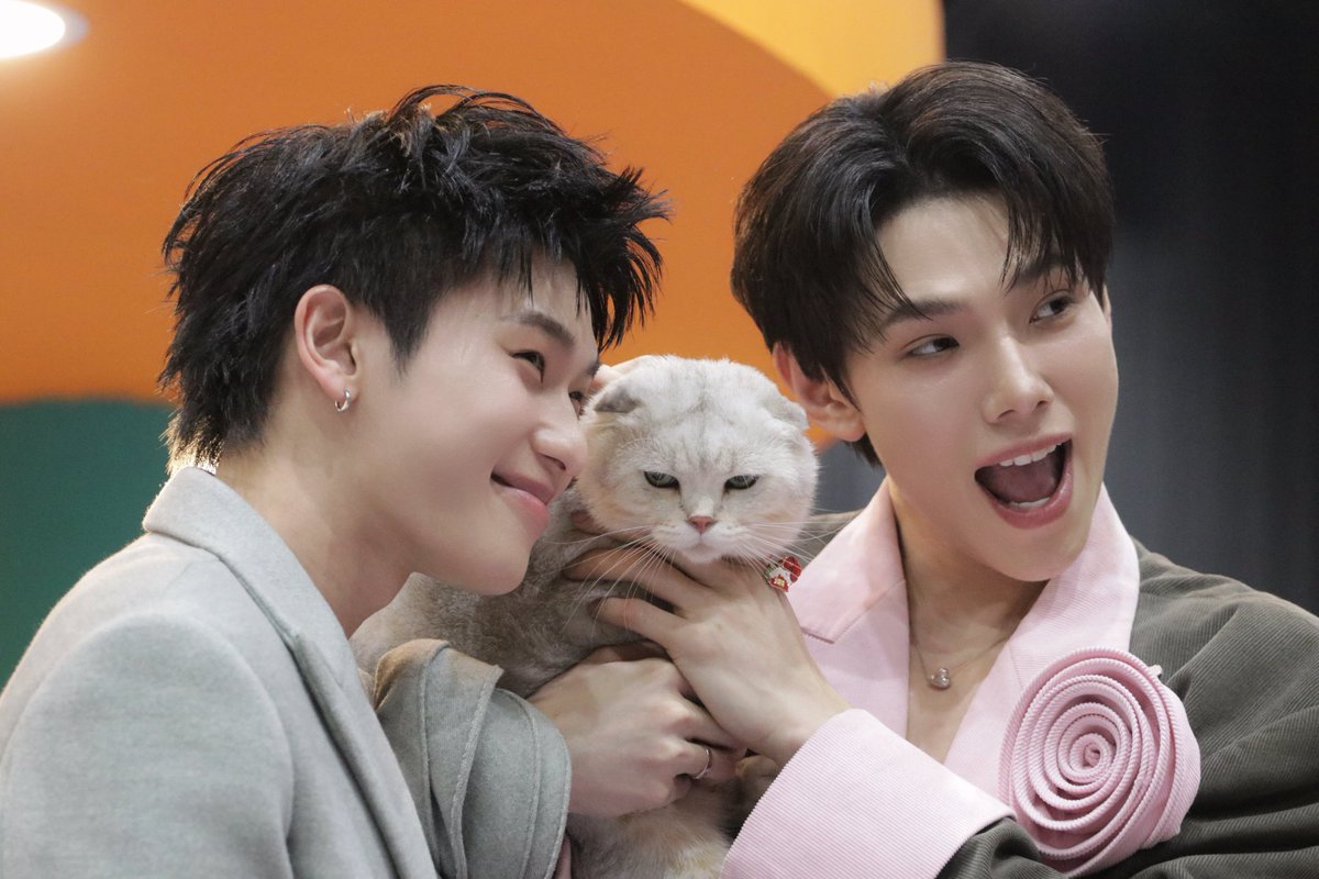 nira 🦕🐈 tweet media