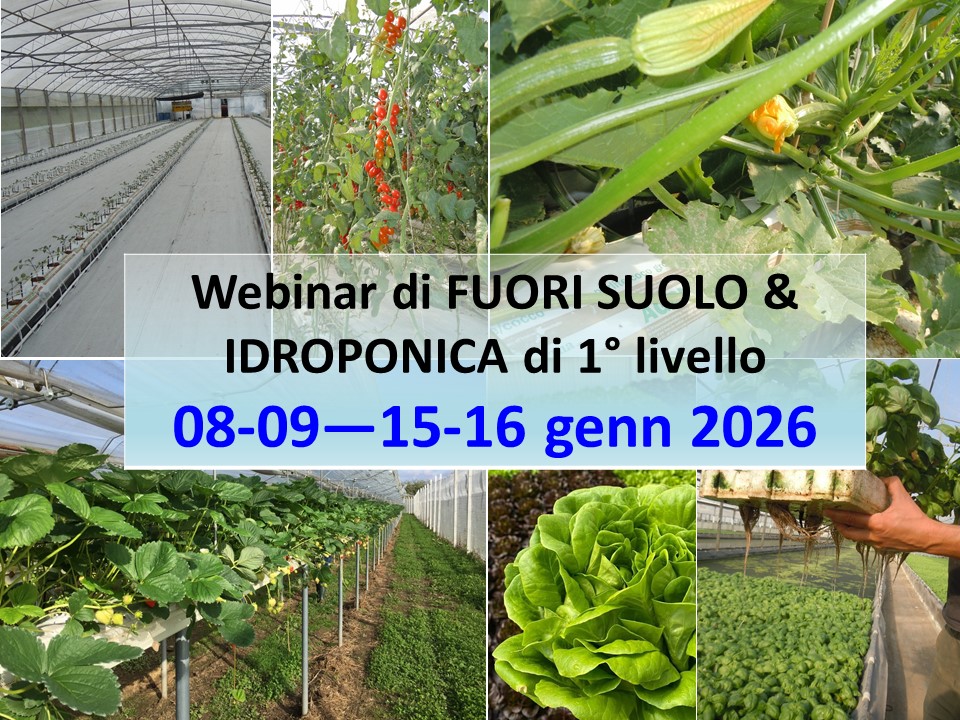 Corso ON LINE di Fertirrigazione in FUORI SUOLO e/o in IDROPONICO.
CORSO ATTIVATO
Un Corso per conoscere a livello professionale le TECNICHE di FERTIRRIGAZIONE e come preparare e gestire le soluzioni nutritive FERTIRRIGANTI.
Vedi link: fritegotto.it/Formazione-Cor…