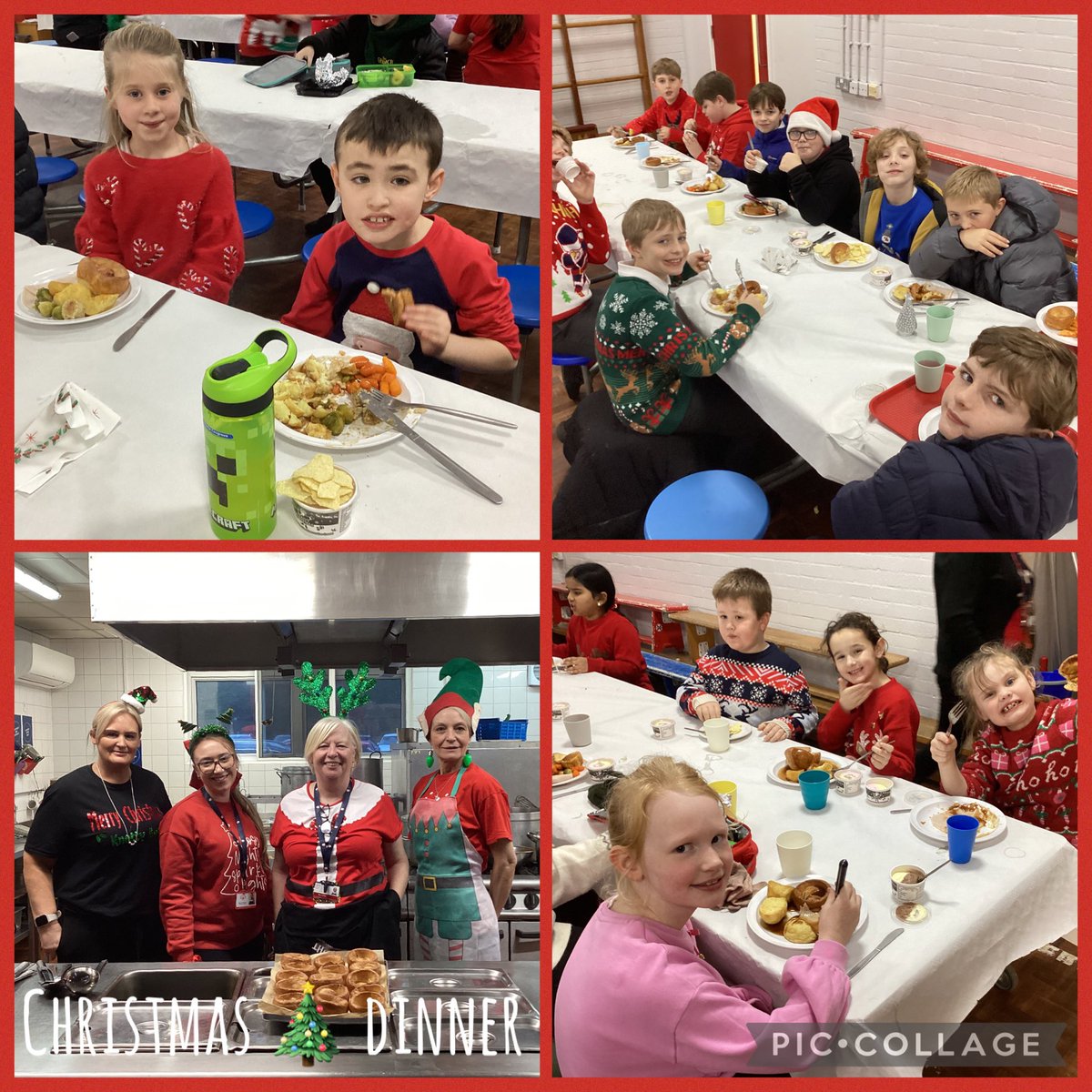 Knotty Ash Primary tweet media