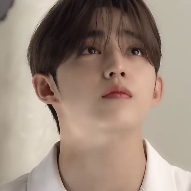 (⁠ ⁠ꈍ⁠ᴗ⁠ꈍ⁠) /BND CB IN MAY!!! tweet media