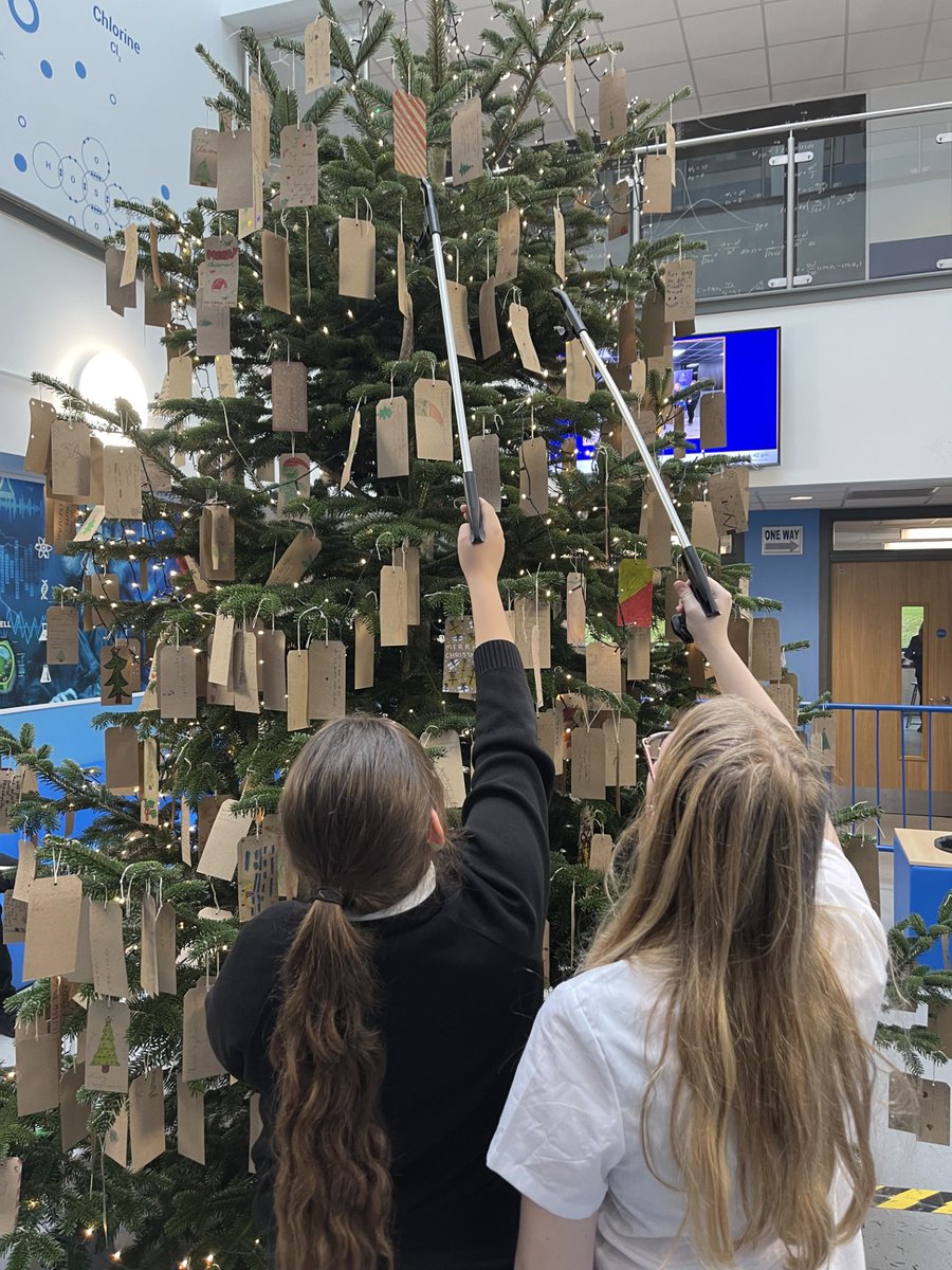 HessleHigh's tweet photo. We wish you a Merry Christmas! Our Tree of Wishes is now completed, stood proudly in the science atrium. Thank you to everyone who took part 🎄🏷️✨🤗 https://t.co/CTDP2U8Zlm