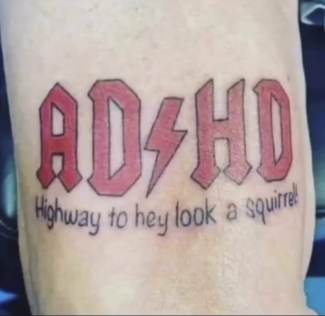 THE PENELOPES tweet media