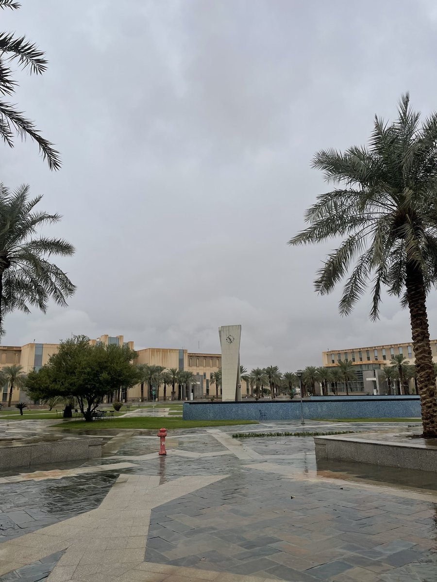 Hamad 🐸 tweet media