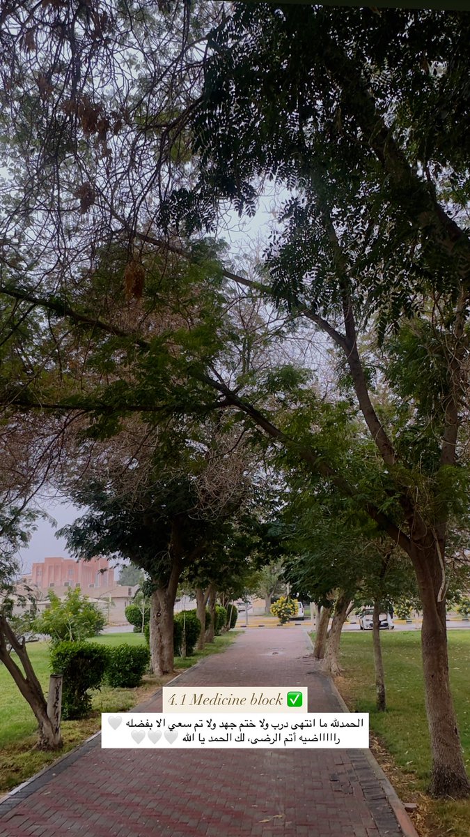 زَهْــراء tweet media