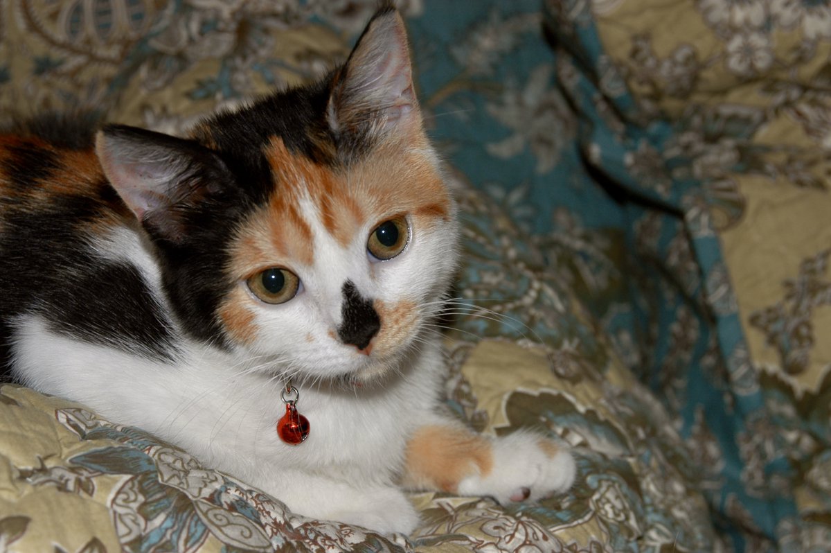 Nancy Stone tweet media