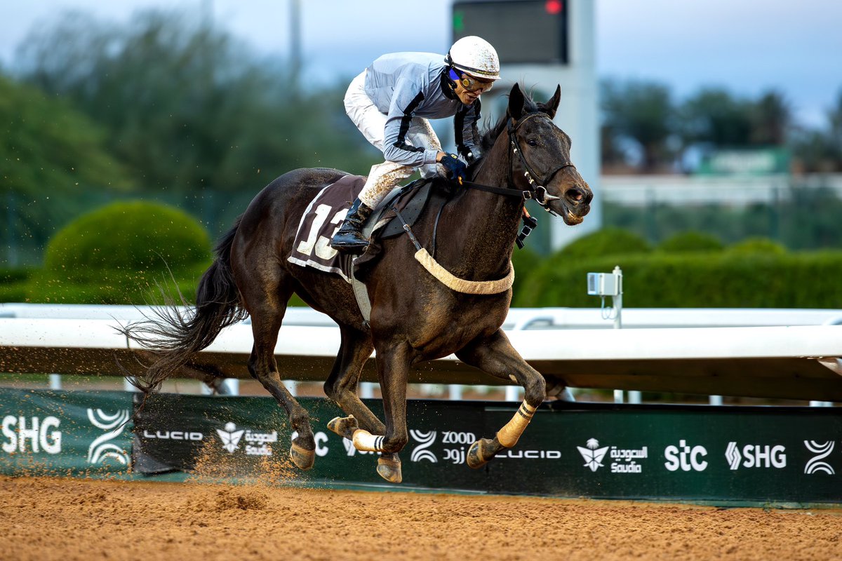 JockeyClub_SA's tweet photo. نتيجة الشوط الـ 4 الحفل ( 48 ) 

◻️الفائز : هيبه الميدان 
◻️المالك : ابناء سلطان مسلط الازمع 
◻️المدرب : ناصر الازمع
◻️الخيال : لويس موراليس 
◻️المسافة : 1400م 

#نادي_سباقات_الخيل
#موسم_سباقات_الرياض https://t.co/hMERFOpWvt
