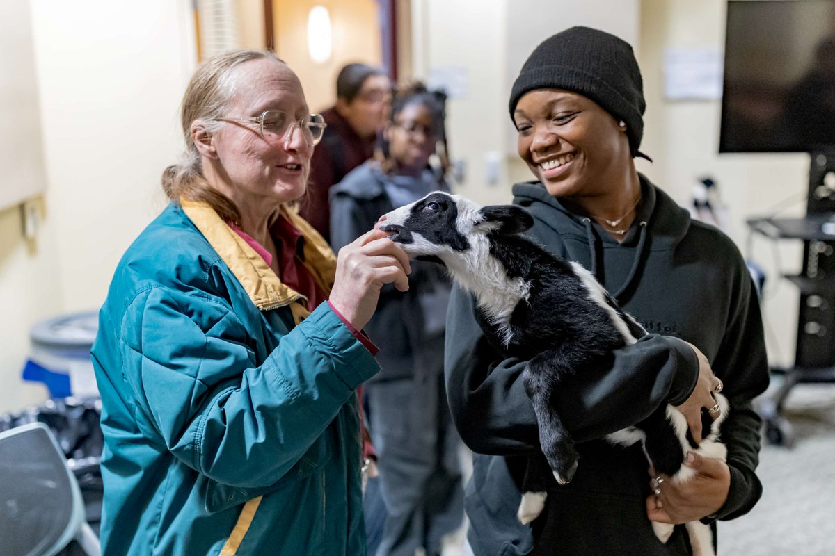 UNC Library tweet media