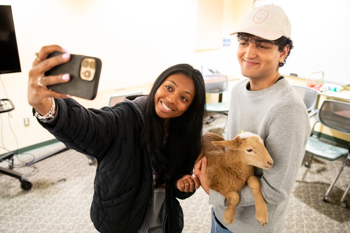 UNC Library tweet media