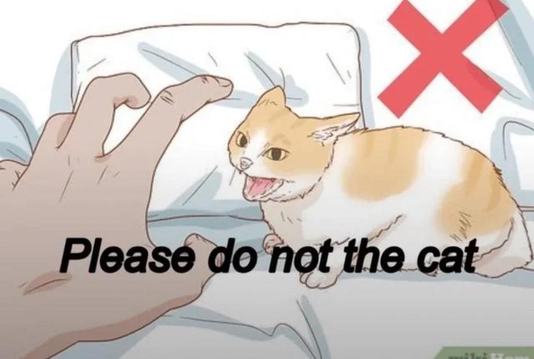 Volt_L18 tweet media