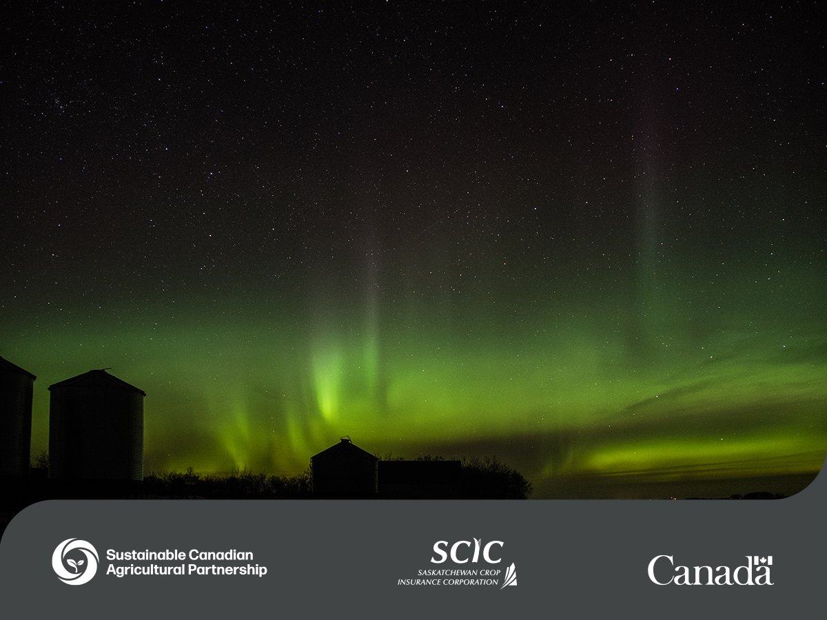 Start your year right by conducting a year-end inventory check. Record your fiscal year-end inventory now to simplify your 2025 AgriStability program forms.

Call us at 1-866-270-8450.
#SaskAg