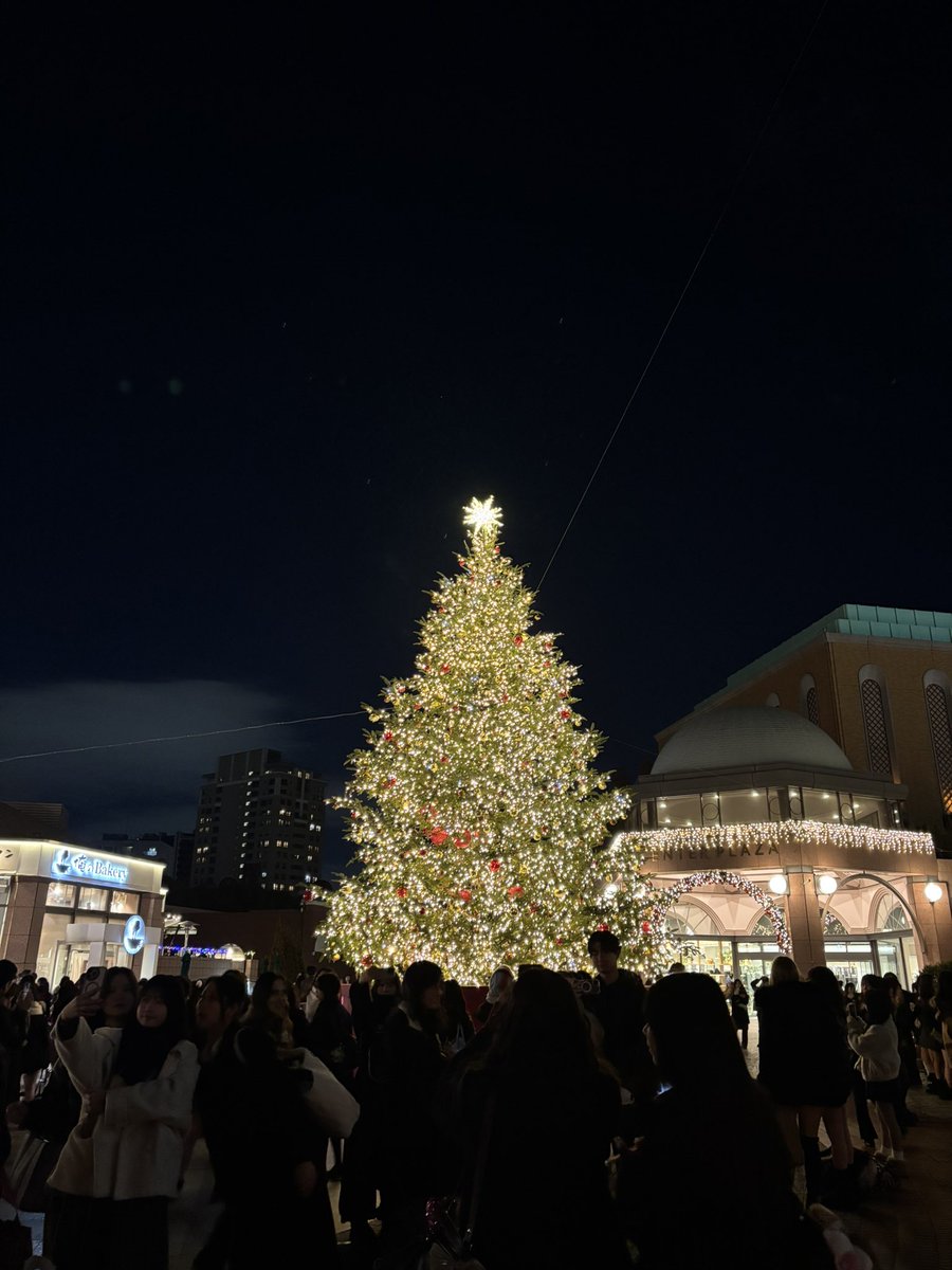 eaterkiki's tweet photo. 毎年の締めくくりを飾る、ドレスコーズ。
去年とはまた違う雰囲気で楽しかった〜。
志磨さんのお衣装が毎度のことながら、お似合いでした！
今年はツリーのような華やかさに赤いシューズのクリスマス配色に、キラキラおめめが可愛かった🎄
 #2025年のドレスコーズ https://t.co/0foCuPysr7