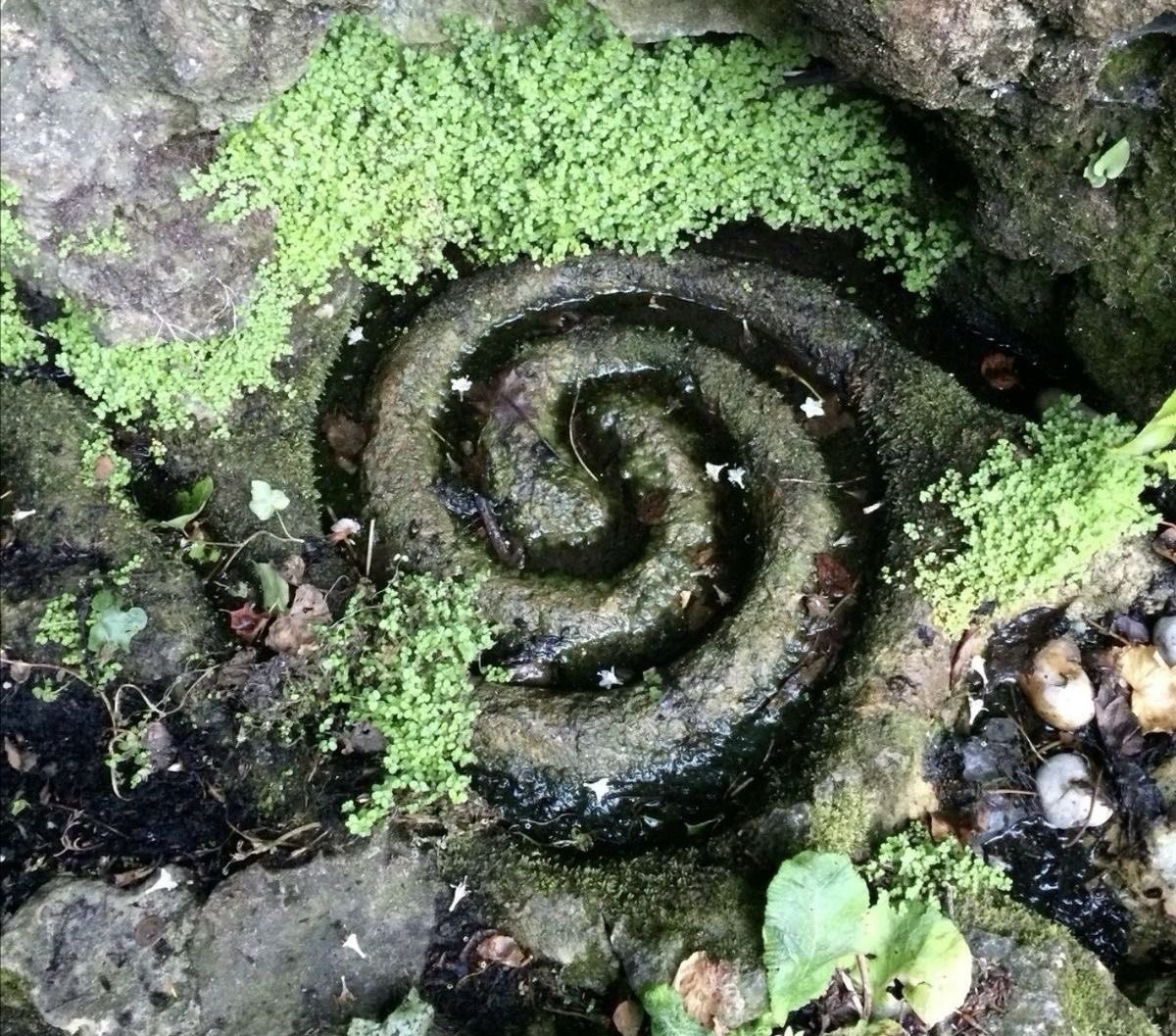 seraphicxc's tweet image. 